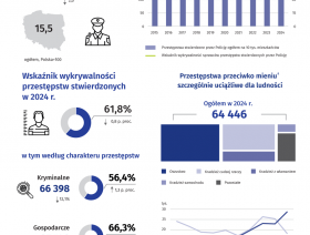 Bezpieczeństwo publiczne w województwie mazowieckim w 2024 r.