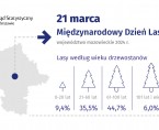 21 marca. Międzynarodowy Dzień Lasów Foto