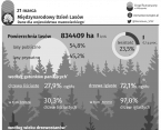 21 marca. Międzynarodowy Dzień Lasów Foto